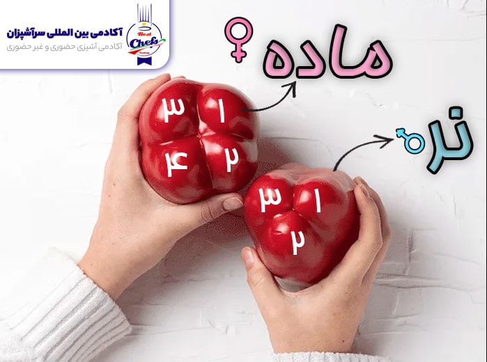 شناسایی فلفل دلمه نر از ماده