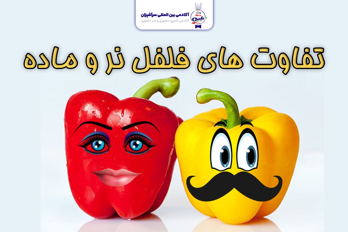 تفاوت فلفل دلمه نر و ماده 