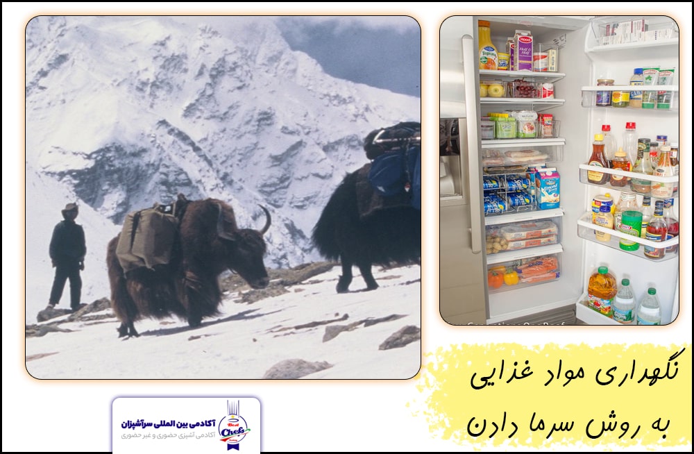 نگهداری مواد غذایی به روش سرما دادن